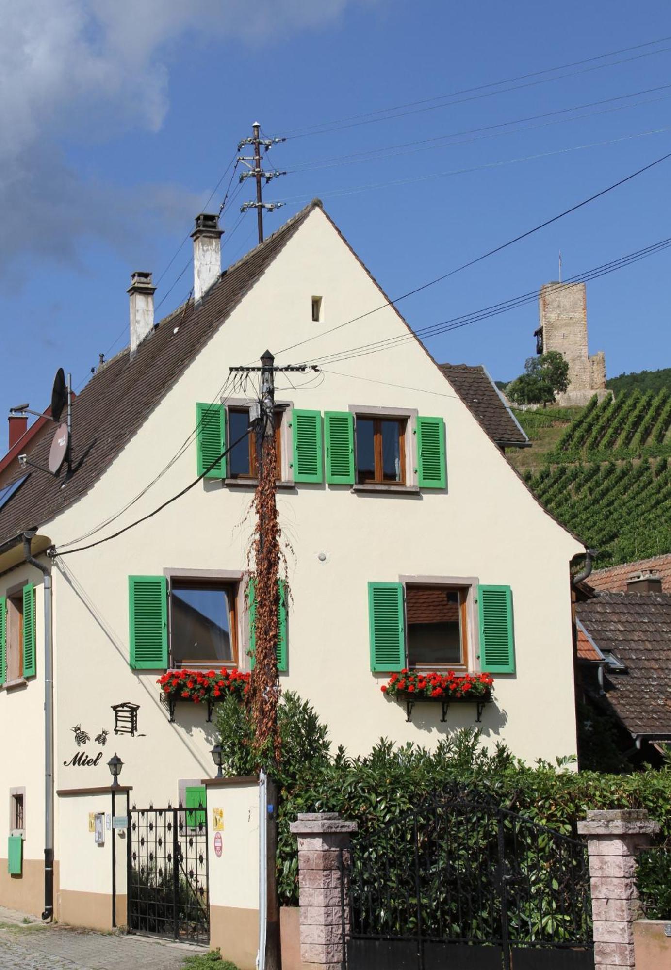 Les Gites 2-4 Pers Remy Herold Katzenthal Luaran gambar